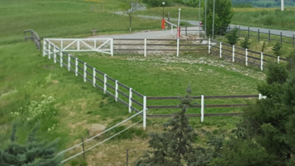Allevamento B&B Pozzol Groppo Exteriör bild