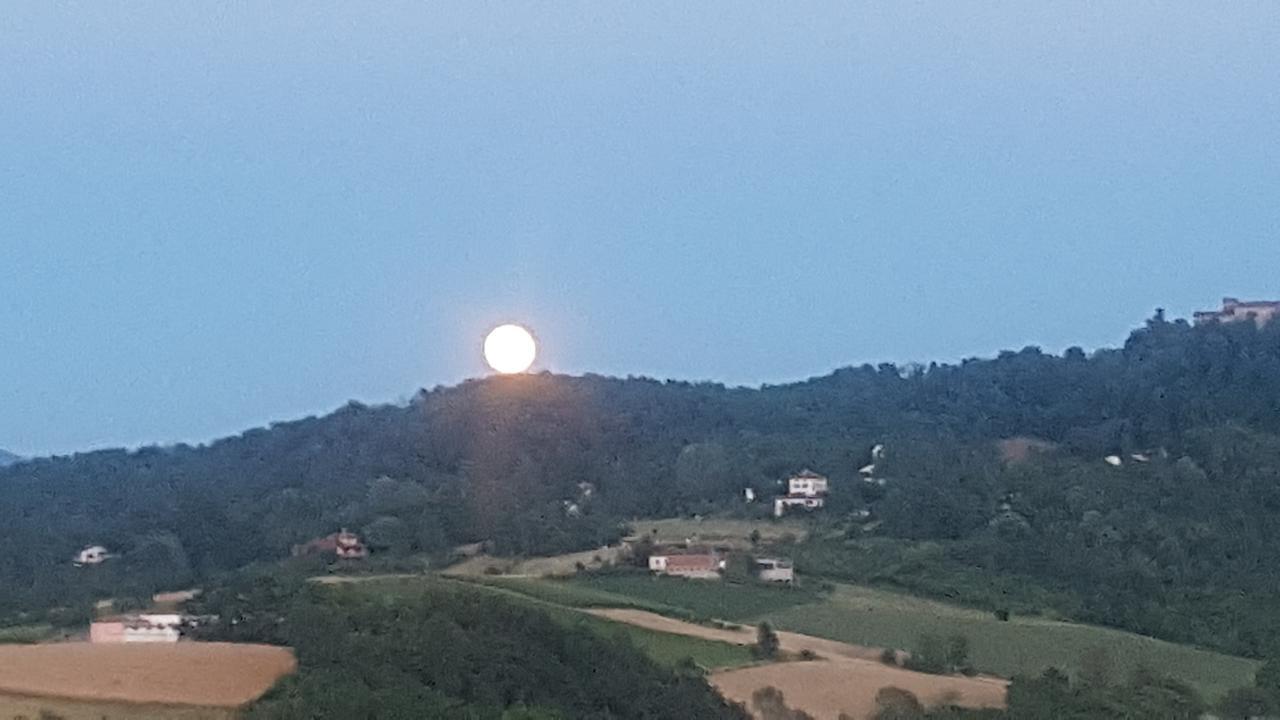 Allevamento B&B Pozzol Groppo Exteriör bild